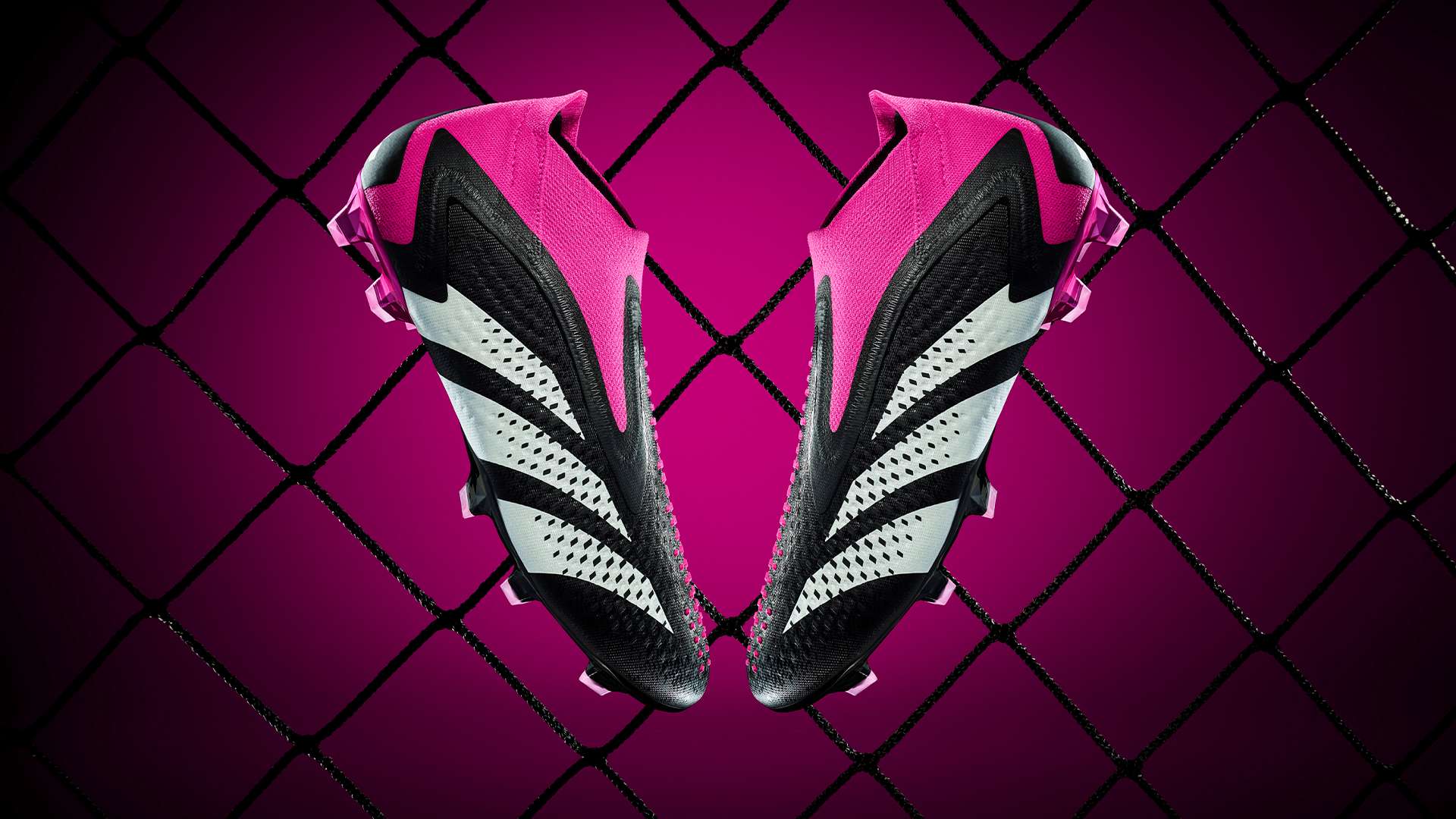 的英冠联赛 的英冠联赛